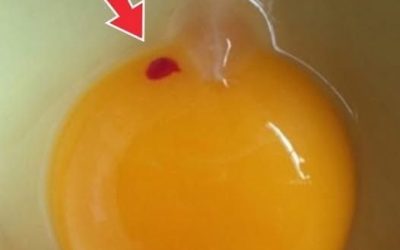 My grandmother always puts cloves in the onion and here’s why