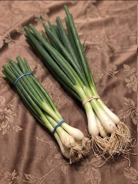 The Difference Between Green Onions, Scallions, Spring Onions, and Chives Explained