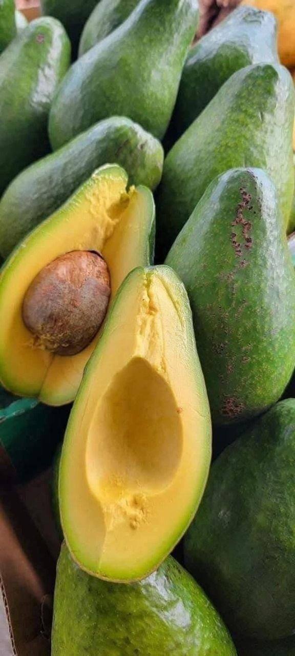 Doctors reveal that eating avocado causes in