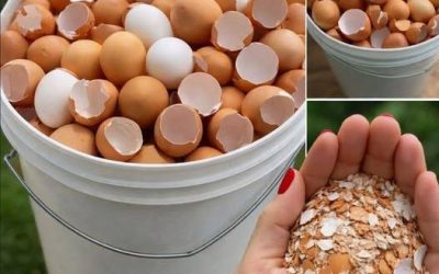 Stop Wasting Money And Throwing Away This Magical Kitchen Scrap