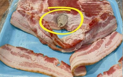 Easy Kitchen Food Safety Guide: What That Strange Bacon Chunk Really Means (Healthy Eating Tips & Smart Meal Prep Awareness)