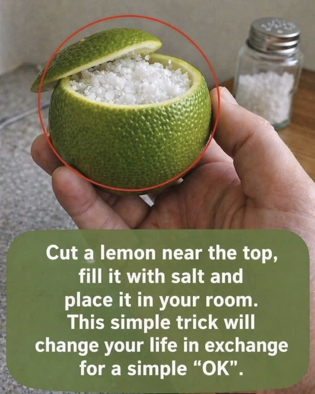 The Salted Lemon Air Purifier
