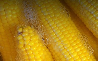 How to Boil Corn on the Cob