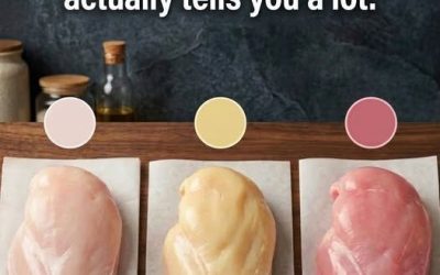 It’s surprising that the connection between chicken color and quality is sti…