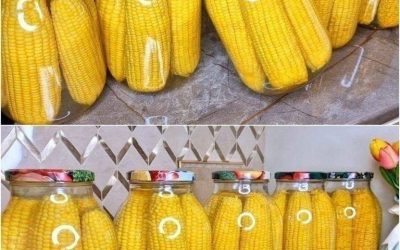 How We Eat Corn All Winter Long – Just Like It’s Fresh