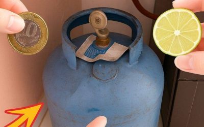 My gas used to last a month, but now it lasts 4 months thanks to this!