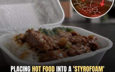 The Hidden Problem With Putting Hot Food in Styrofoam Containers