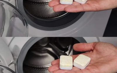 If You Do This, All the Dirt Comes Out of the Washing Machine: Say Goodbye to Bad Smells in Laundry