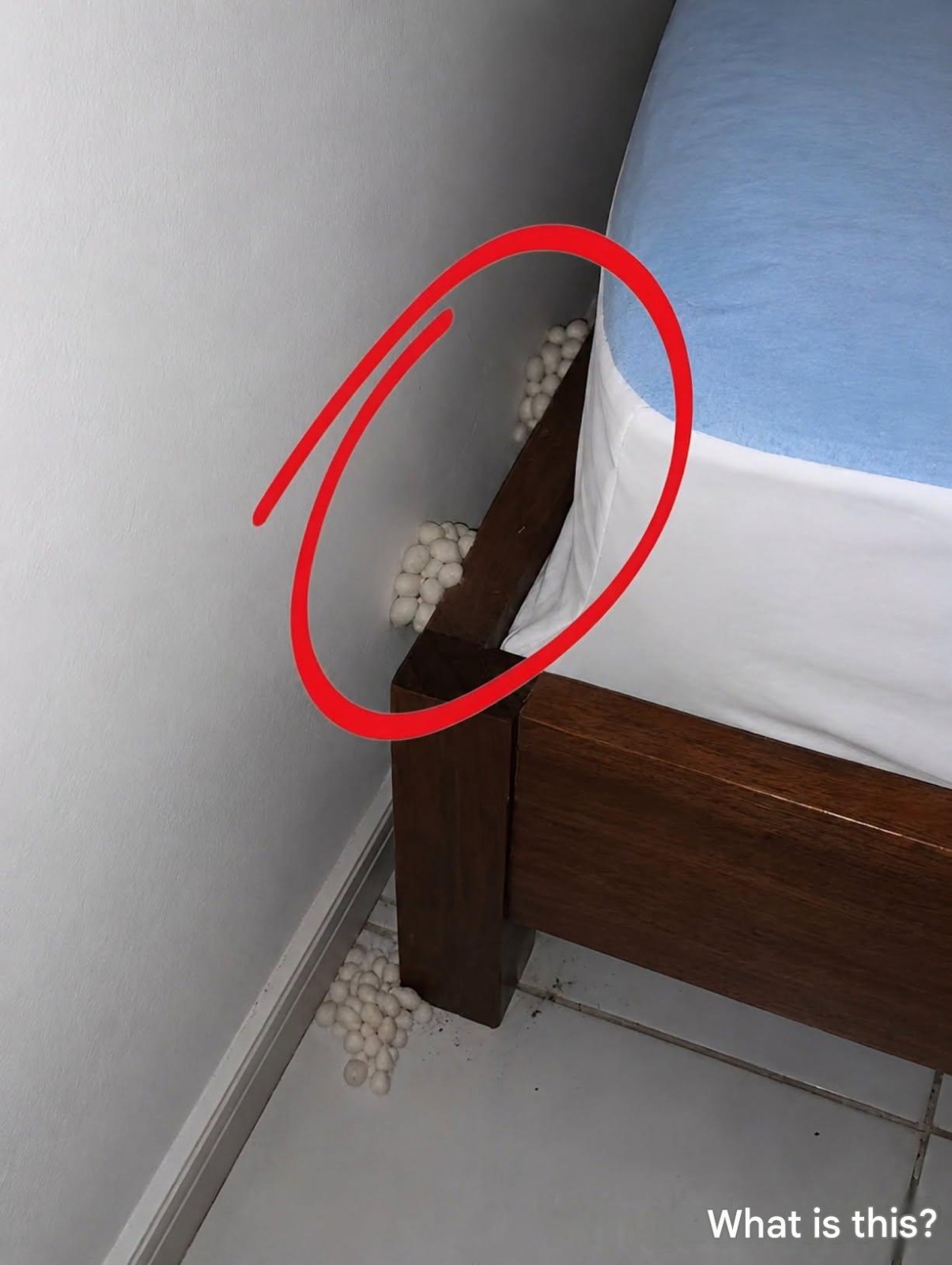 I Came Home Exhausted Expecting A Quiet Night, But One Detail Told Me Something Was Wrong