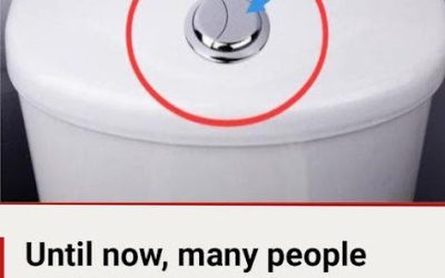 🚽 Many People Still Think Those 2 Buttons Are Just for Flushing — Here’s Why They’re Actually a Secret to Saving Water & Money 💧