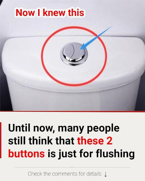 🚽 Many People Still Think Those 2 Buttons Are Just for Flushing — Here’s Why They’re Actually a Secret to Saving Water & Money 💧