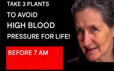 3 Miracle Plants to Lower Blood Pressure and Cleanse Arteries – Barbara O’Neill’s Secrets