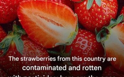 The Hidden Truth About Strawberries