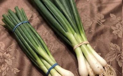 The Difference Between Green Onions, Scallions, Spring Onions, and Chives Explained