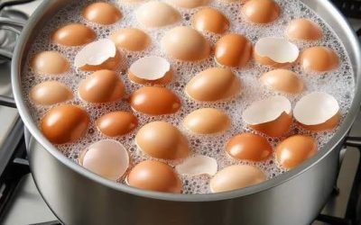 Boil eggshells in a saucepan – it’s smart and saves a lot of money