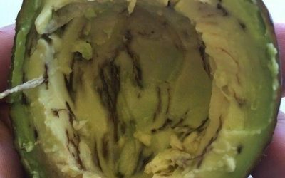 How to Tell If an Avocado Is Safe to Eat: The Ultimate Guide to Avoiding Waste (and Disappointment)