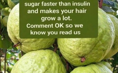 Guava: Nature’s Sweet Superfruit (But Not a Miracle Cur