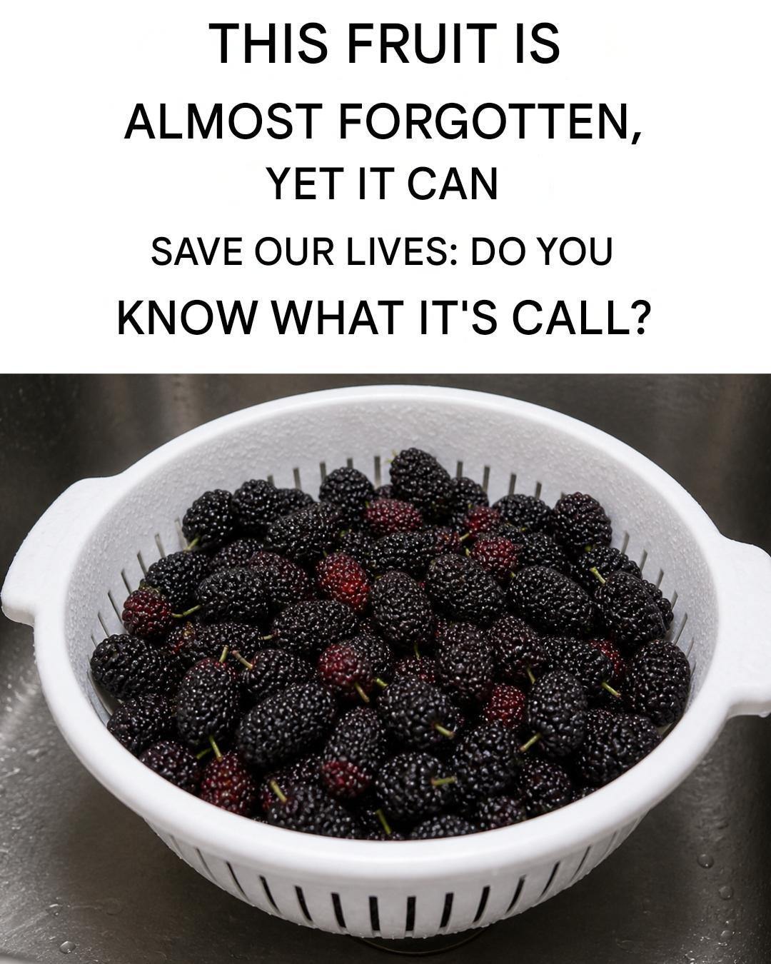 Black mulberry: Regulates blood pressure, improves eyesight, prevents cancer, and relieves headaches.