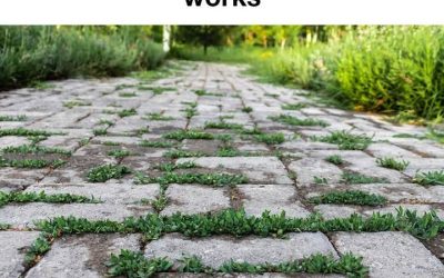 My nana taught me this hack to stop weeds from sprouting in 2 mins with 0 work. Here’s how it works