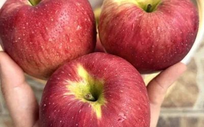 Why Apples Are Considered a Powerful Everyday Fruit for Wellness