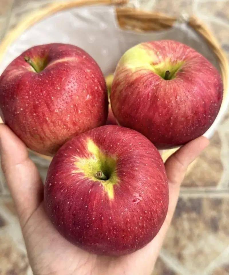 Why Apples Are Considered a Powerful Everyday Fruit for Wellness