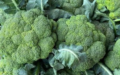 Is Broccoli Better Than Cauliflower? The Real Truth About Cancer Risk, Heart Health and More