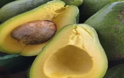 Doctors Reveal That Eating Avocados