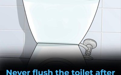 Why Its So Important Not To Flush The Toilet After Every Trip
