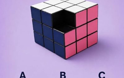 95% of people are wrong! Can you find the missing piece of the cube? See the link