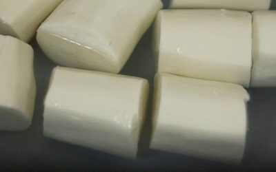 Over 200 People Are Killed by the “World’s Deadliest Food” Every Year — But Almost 500 Million People Still Eat It