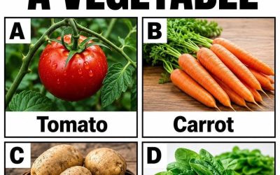 Are You Able To Answer These Tricky Questions