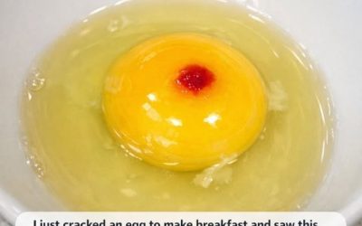 I just cracked an egg to make breakfast and saw this red spot in the yolk. It really grossed me out and now I’m wondering if I should toss the whole c.