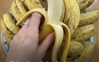 If you eat bananas at night, you will increase your