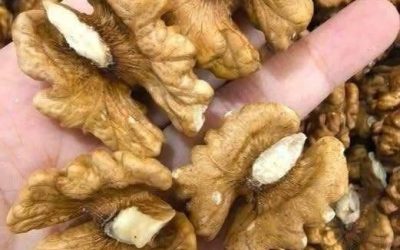 Doctors reveal that eating walnuts causes…