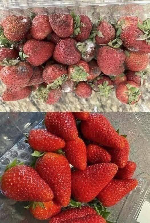 How to Keep Strawberries Fresh Longer: 7 Expert Tips to Prevent Mold and Spoilage