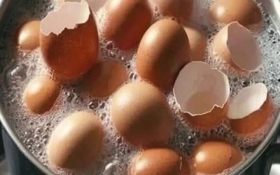 Don’t throw them away anymore. Boil eggshells and say goodbye to…….