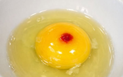 I just cracked an egg to make breakfast and saw this red spot in the yolk. It really grossed me out and now I’m wondering if I should toss the whole carton or just scoop it out and cook it anyway. Wha