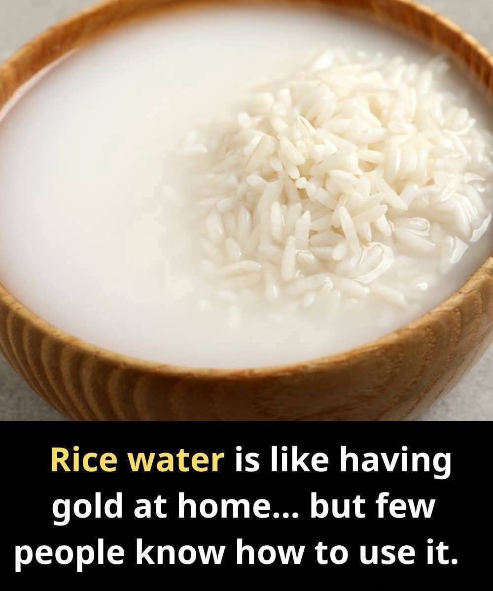 Rice Water Is Like Having Gold at Home… But Few People Know How to Use