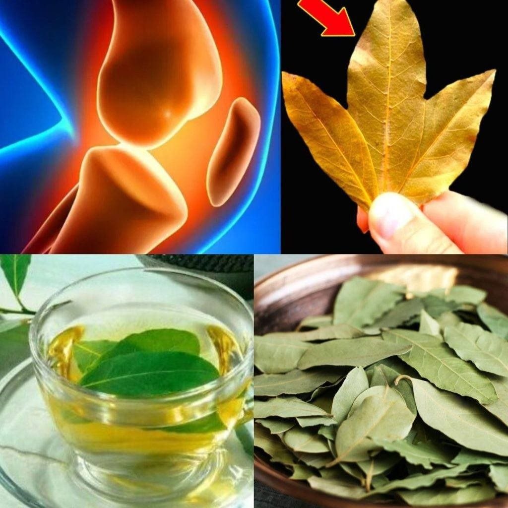 Relieve Joint Pain, Knee Pain, Arthritis, and Osteoarthritis with Bay Leaves