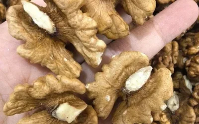 Doctors Reveal That Eating Walnuts Causes Remarkable Health Benefits (And I’ve Got the Perfect Recipe to Enjoy Them)