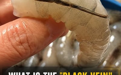 The Dark Line in Shrimp Explained: What It Really Is—and Why Cooks Argue About Removing It