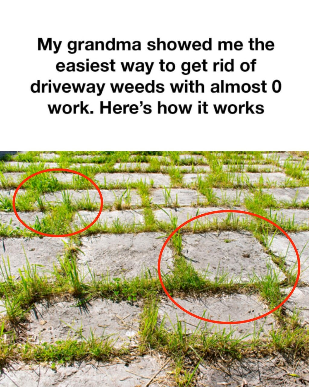 My Grandma’s Simple Driveway Weed Trick: A Natural Way to Keep Cracks Clear
